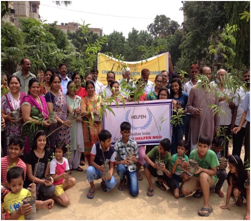 TREE PLANTATION WORK